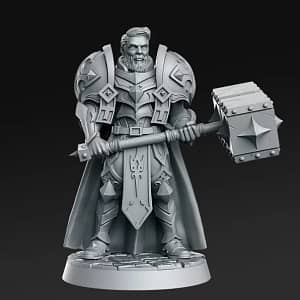 Miniatura Sir Warrick para RPG - Coleção The Royal Guard