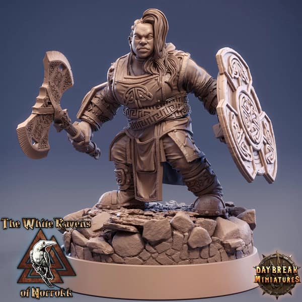 Kit De 11 Miniaturas RPG - The White Ravens Of Norrokk - Image 4