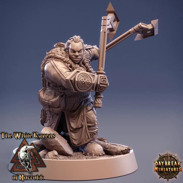 Kit De 11 Miniaturas RPG - The White Ravens Of Norrokk - Image 10